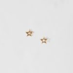 گوشواره ستاره